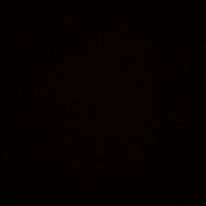 Meet your Posher, Bella